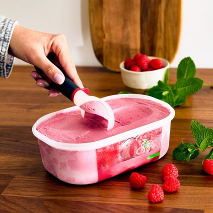 Tefal - Naběračka na zmrzlinu INGENIO