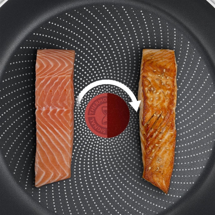 Tefal - Pánev DELICIOUS 24 cm