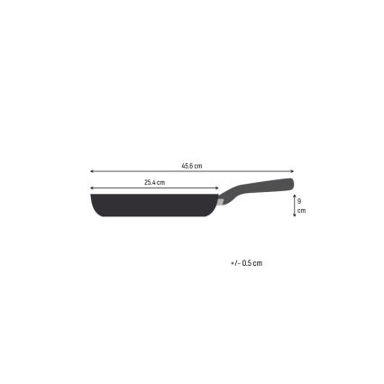 Tefal - Pánev EXTREME 24 cm nerez