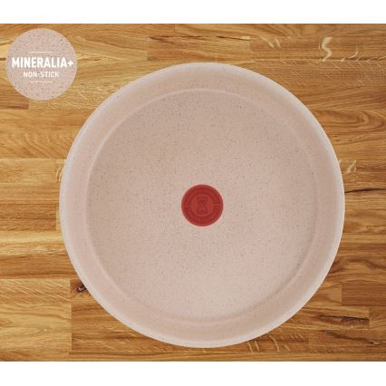 Tefal - Sada nádobí 17 ks INGENIO DELIGHT