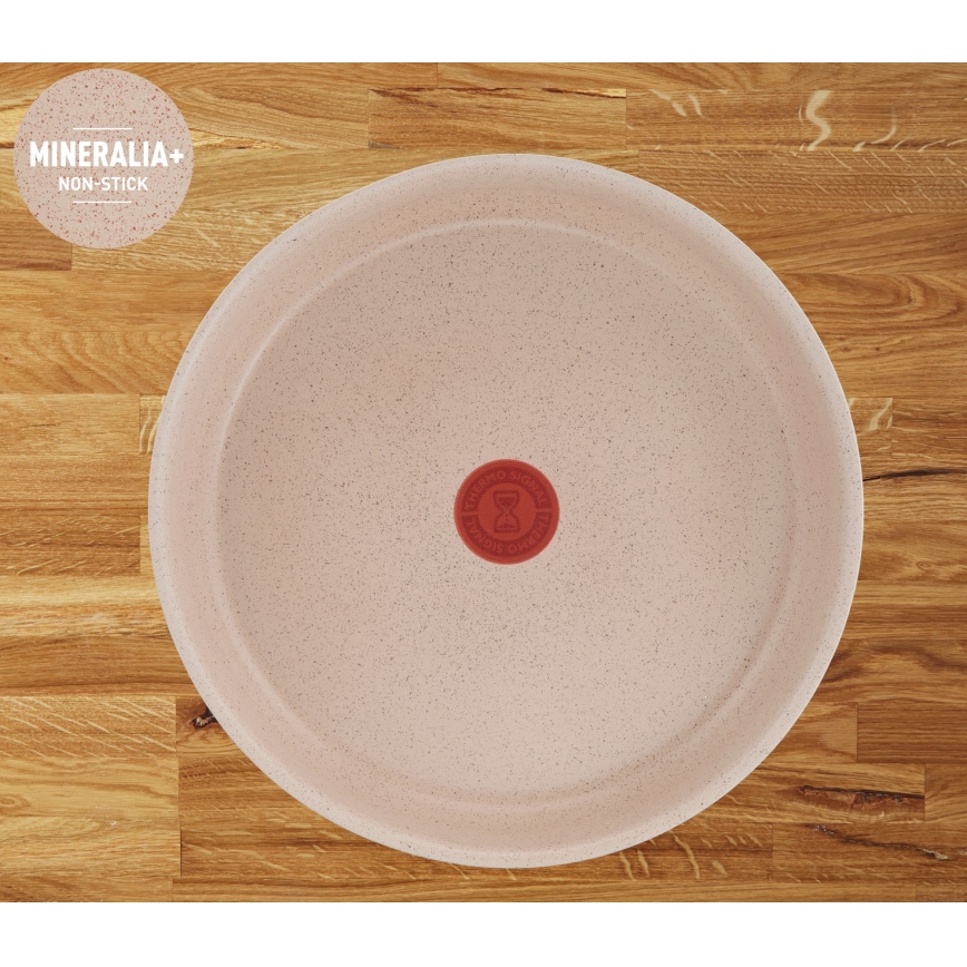 Tefal - Sada nádobí 6 ks INGENIO DELIGHT