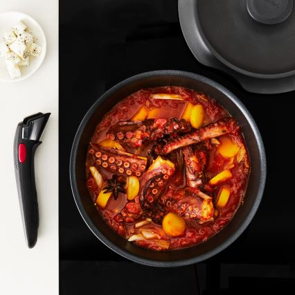 Tefal - Sada nádobí 6 ks INGENIO INSPIRATION