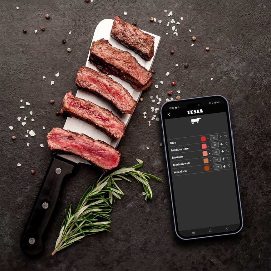TESLA Electronics Cook - Digitální teploměr na maso se sondou 0-400 °C 2xAA IP65