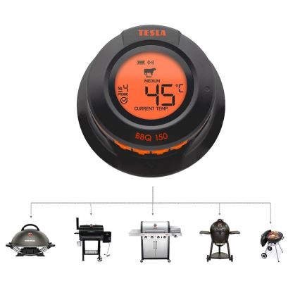 TESLA Electronics Cook - Digitální teploměr na maso se sondou 0-400 °C 2xAA IP65