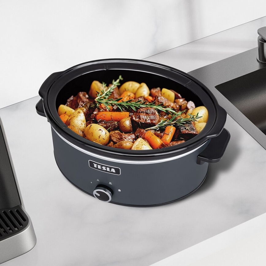 TESLA Electronics SlowCook - Pomalý hrnec 6,5 l 270W/230V