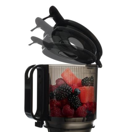 TESLA Electronics SlowJuicer Deluxe - Nízkootáčkový šnekový odšťavňovač 250W/230V nerez/černá