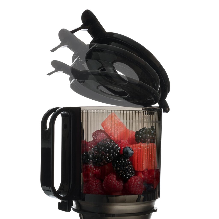 TESLA Electronics SlowJuicer Deluxe - Nízkootáčkový šnekový odšťavňovač 250W/230V nerez/černá