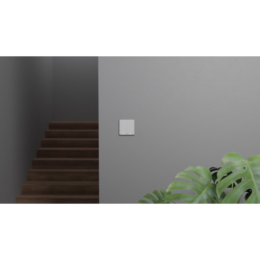 TESLA Smart - Chytrý spínač domovní 2P 230V Zigbee