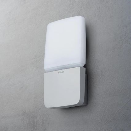 theben - LED Nástěnný reflektor LED/11W/230V stříbrná IP55