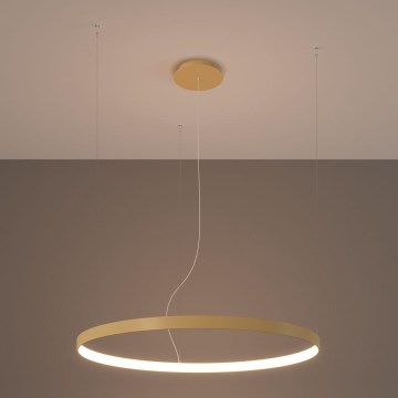 Thoro TH.174 - LED Lustr na lanku RIO LED/50W/230V CRI 90 3000K pr. 78 cm zlatá