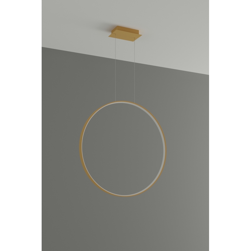 Thoro TH.175 - LED Lustr na lanku RIO LED/50W/230V CRI 90 3000K pr. 78 cm zlatá