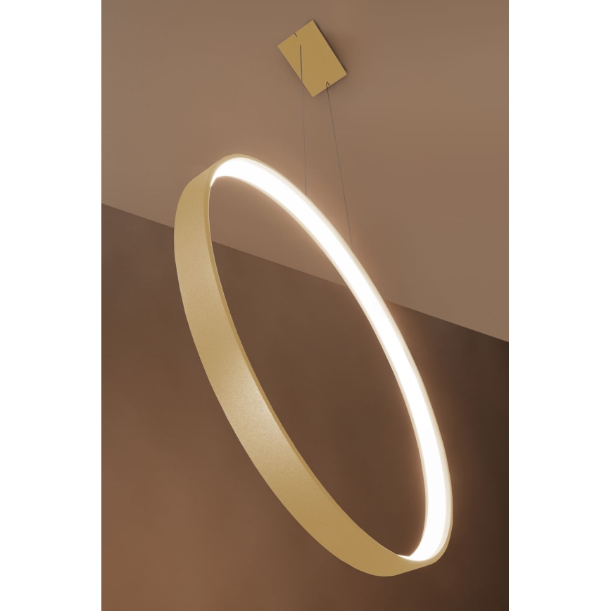 Thoro TH.175 - LED Lustr na lanku RIO LED/50W/230V CRI 90 3000K pr. 78 cm zlatá