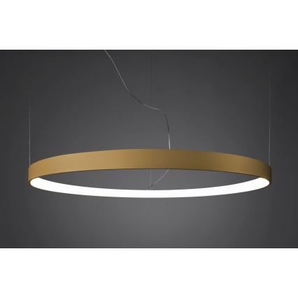 Thoro TH.181 - LED  Lustr na lanku RIO LED /50W/230V CRI 95 4000K pr. 78 cm zlatá