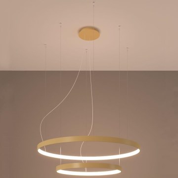 Thoro TH.214 - LED Lustr na lanku RIO LED/80W/230V CRI 90 3000K zlatá