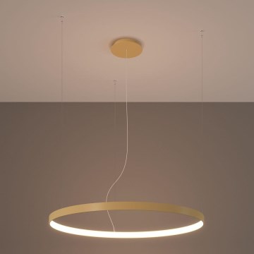 Thoro TH.216 - LED Lustr na lanku RIO LED/30W/230V CRI 90 3000K pr. 55 cm zlatá