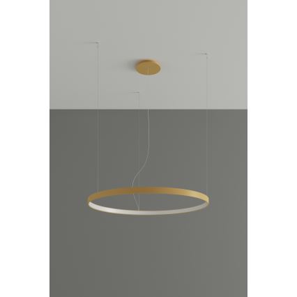 Thoro TH.216 - LED Lustr na lanku RIO LED/30W/230V CRI 90 3000K pr. 55 cm zlatá