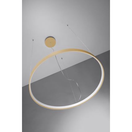Thoro TH.216 - LED Lustr na lanku RIO LED/30W/230V CRI 90 3000K pr. 55 cm zlatá