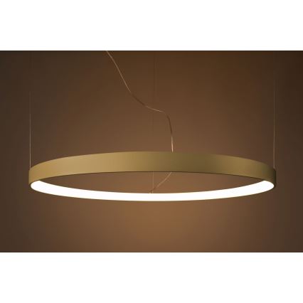 Thoro TH.216 - LED Lustr na lanku RIO LED/30W/230V CRI90 3000K pr. 55 cm zlatá