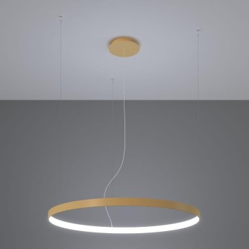 Thoro TH.217 - LED Lustr na lanku RIO LED/30W/230V CRI 95 4000K pr. 55 cm zlatá