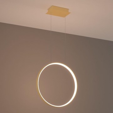 Thoro TH.220 - LED Lustr na lanku RIO LED/30W/230V CRI 90 3000K pr. 55 cm zlatá