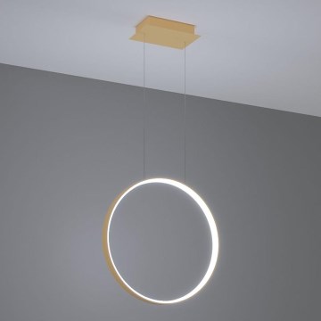 Thoro TH.221 - LED Lustr na lanku RIO LED/30W/230V CRI 95 4000K pr. 55 cm zlatá