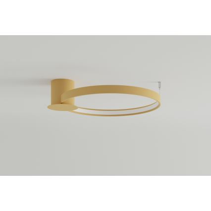 Thoro TH.222 - LED Stropní svítidlo RIO LED/30W/230V CRI 90 3000K pr. 55 cm zlatá