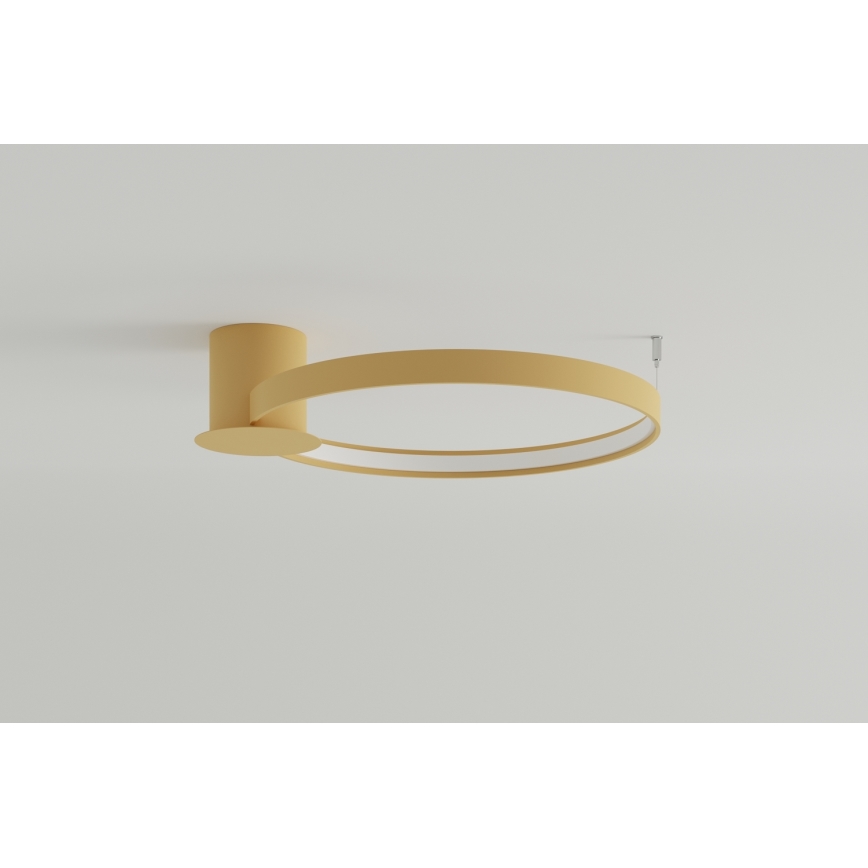 Thoro TH.222 - LED Stropní svítidlo RIO LED/30W/230V CRI 90 3000K pr. 55 cm zlatá