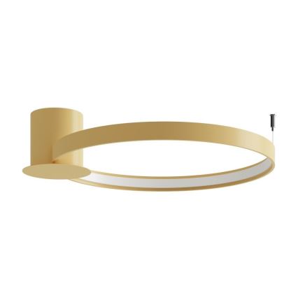 Thoro TH.222 - LED Stropní svítidlo RIO LED/30W/230V CRI 90 3000K pr. 55 cm zlatá