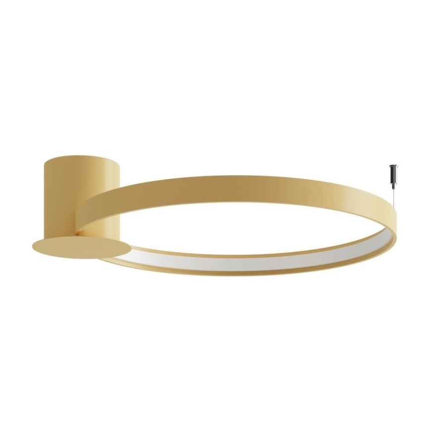 Thoro TH.222 - LED Stropní svítidlo RIO LED/30W/230V CRI 90 3000K pr. 55 cm zlatá