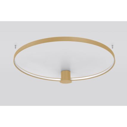Thoro TH.222 - LED Stropní svítidlo RIO LED/30W/230V CRI 90 3000K pr. 55 cm zlatá