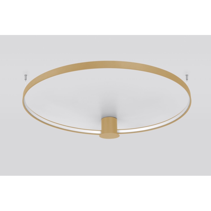 Thoro TH.222 - LED Stropní svítidlo RIO LED/30W/230V CRI 90 3000K pr. 55 cm zlatá