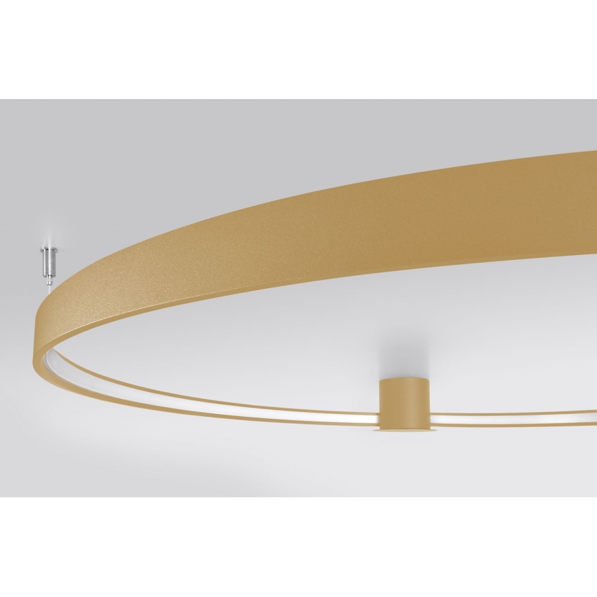 Thoro TH.222 - LED Stropní svítidlo RIO LED/30W/230V CRI 90 3000K pr. 55 cm zlatá