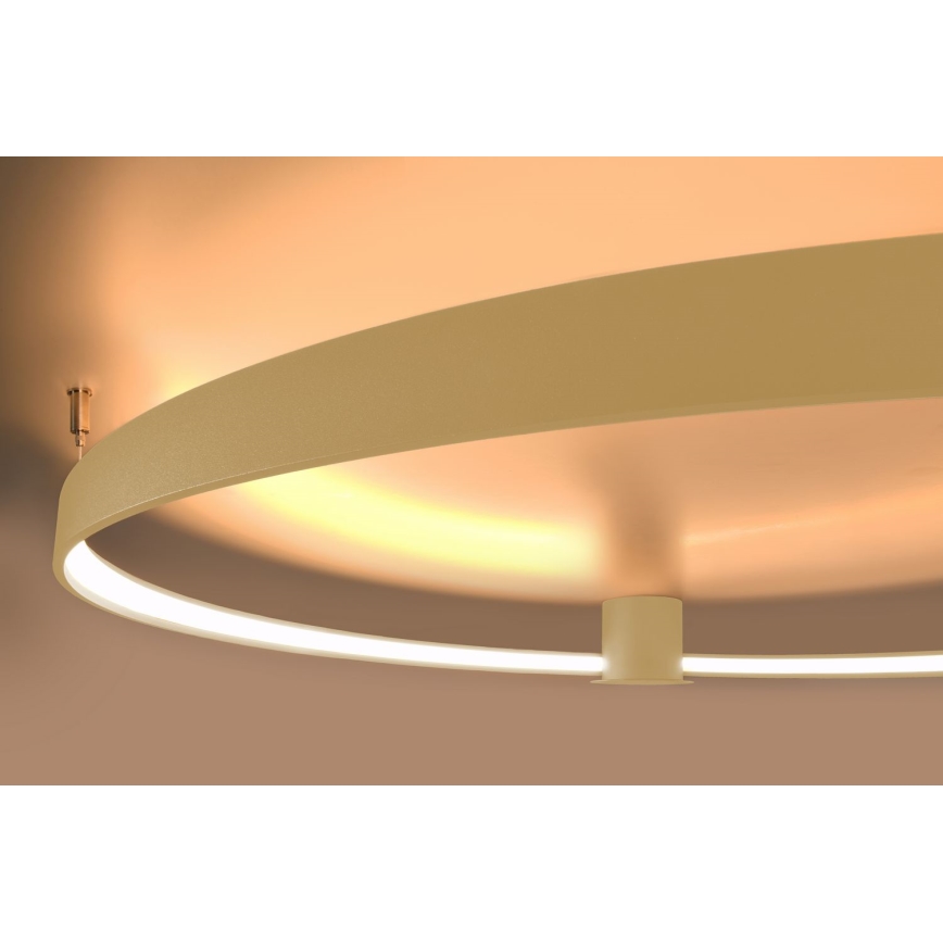 Thoro TH.222 - LED Stropní svítidlo RIO LED/30W/230V CRI 90 3000K pr. 55 cm zlatá