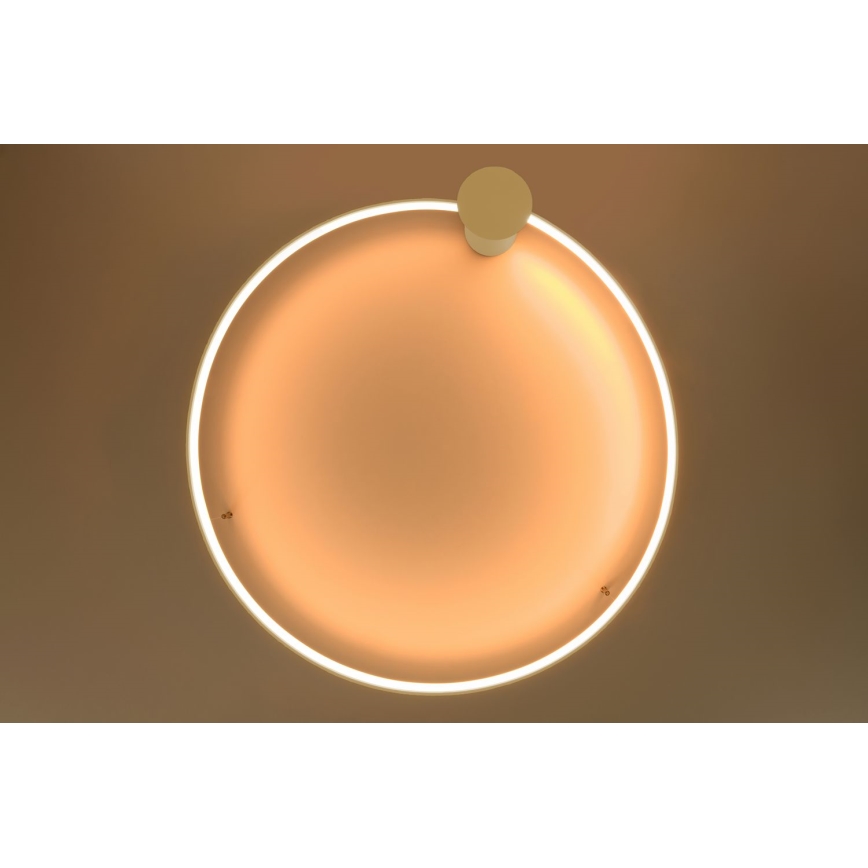 Thoro TH.222 - LED Stropní svítidlo RIO LED/30W/230V CRI 90 3000K pr. 55 cm zlatá