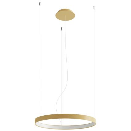 Thoro TH.223 - LED  Lustr na lanku RIO LED/21W/230V CRI 98 4000K pr. 55 cm zlatá