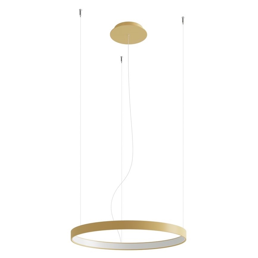 Thoro TH.223 - LED  Lustr na lanku RIO LED/21W/230V CRI 98 4000K pr. 55 cm zlatá