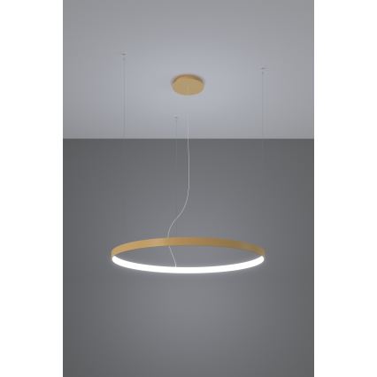Thoro TH.223 - LED  Lustr na lanku RIO LED/21W/230V CRI 98 4000K pr. 55 cm zlatá
