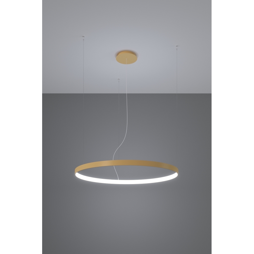 Thoro TH.223 - LED  Lustr na lanku RIO LED/21W/230V CRI 98 4000K pr. 55 cm zlatá