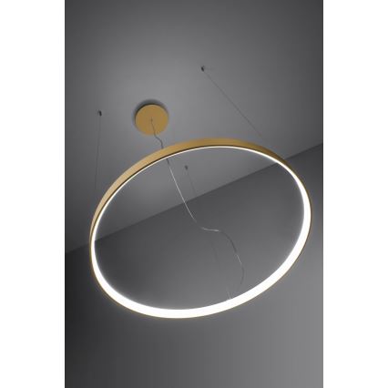 Thoro TH.223 - LED  Lustr na lanku RIO LED/21W/230V CRI 98 4000K pr. 55 cm zlatá