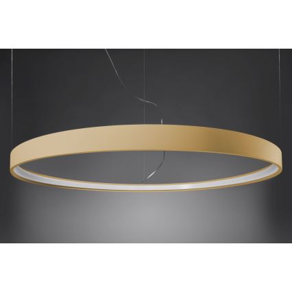 Thoro TH.223 - LED  Lustr na lanku RIO LED/21W/230V CRI 98 4000K pr. 55 cm zlatá