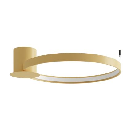 Thoro TH.223 - LED Stropní svítidlo RIO LED/30W/230V CRI 95 4000K pr. 55 cm zlatá