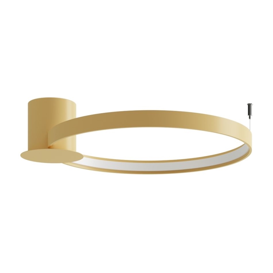 Thoro TH.223 - LED Stropní svítidlo RIO LED/30W/230V CRI 95 4000K pr. 55 cm zlatá
