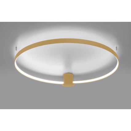 Thoro TH.223 - LED Stropní svítidlo RIO LED/30W/230V CRI 95 4000K pr. 55 cm zlatá