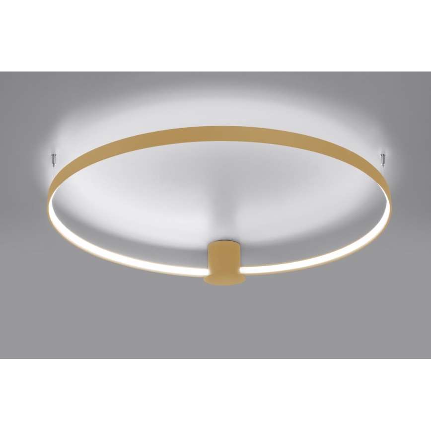 Thoro TH.223 - LED Stropní svítidlo RIO LED/30W/230V CRI 95 4000K pr. 55 cm zlatá