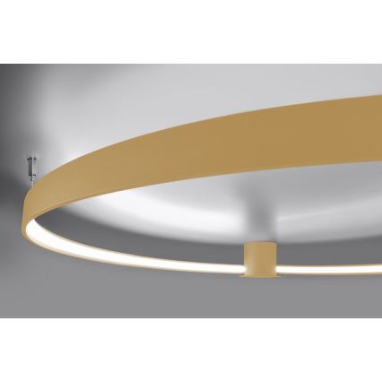 Thoro TH.223 - LED Stropní svítidlo RIO LED/30W/230V CRI 95 4000K pr. 55 cm zlatá
