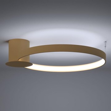 Thoro TH.223 - LED Stropní svítidlo RIO LED/30W/230V CRI 95 4000K pr. 55 cm zlatá