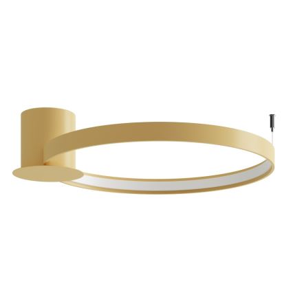 Thoro TH.223 - LED Stropní svítidlo RIO LED/30W/230V CRI 98 4000K pr. 55 cm zlatá