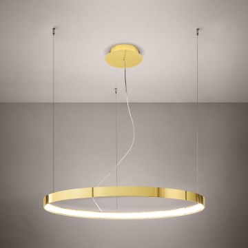 Thoro TH.246 - LED Lustr na lanku RIO LED/50W/230V CRI 90 3000K pr. 78 cm zlatá