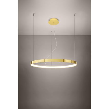 Thoro TH.246 - LED Lustr na lanku RIO LED/50W/230V CRI 90 3000K pr. 78 cm zlatá