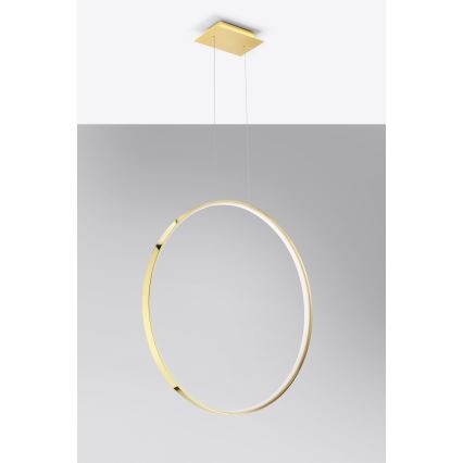 Thoro TH.248 - LED Lustr na lanku RIO LED/50W/230V CRI 90 3000K pr. 78 cm zlatá